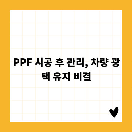 PPF 시공 후 관리, 차량 광택 유지 비결