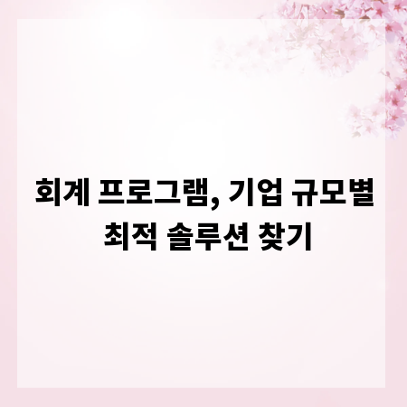 회계 프로그램, 기업 규모별 최적 솔루션 찾기