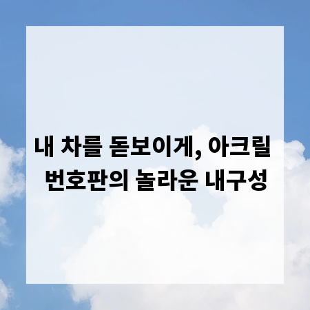 내 차를 돋보이게, 아크릴 번호판의 놀라운 내구성