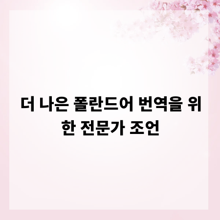 더 나은 폴란드어 번역을 위한 전문가 조언