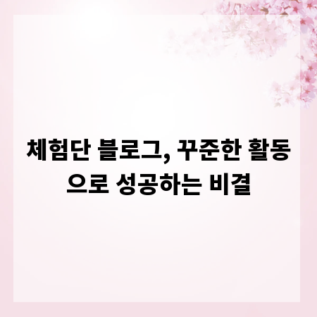 체험단 블로그, 꾸준한 활동으로 성공하는 비결