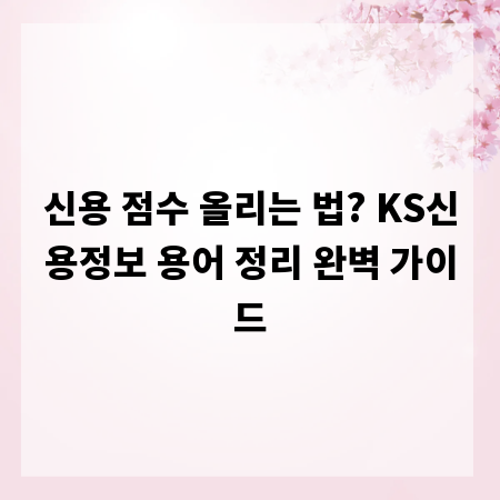 신용 점수 올리는 법? KS신용정보 용어 정리 완벽 가이드