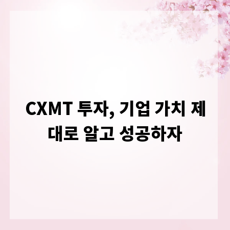 CXMT 투자, 기업 가치 제대로 알고 성공하자
