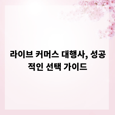 라이브 커머스 대행사, 성공적인 선택 가이드
