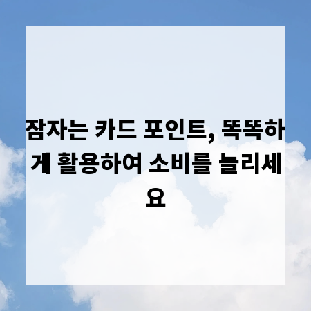 잠자는 카드 포인트, 똑똑하게 활용하여 소비를 늘리세요