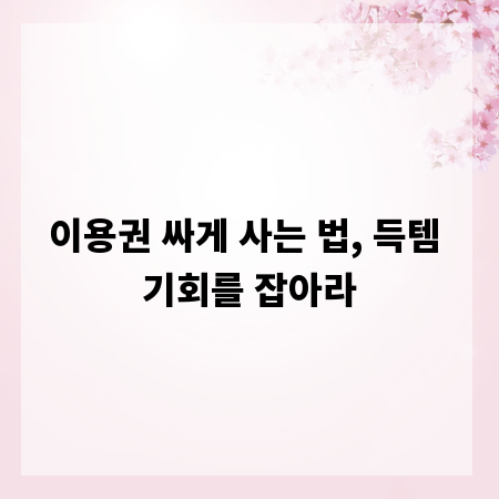 이용권 싸게 사는 법, 득템 기회를 잡아라