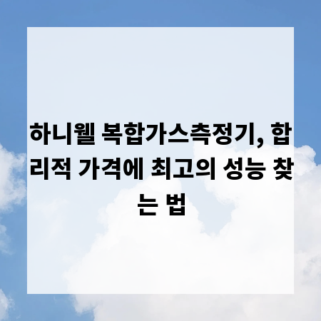 하니웰 복합가스측정기, 합리적 가격에 최고의 성능 찾는 법