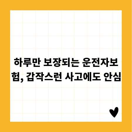 하루만 보장되는 운전자보험, 갑작스런 사고에도 안심