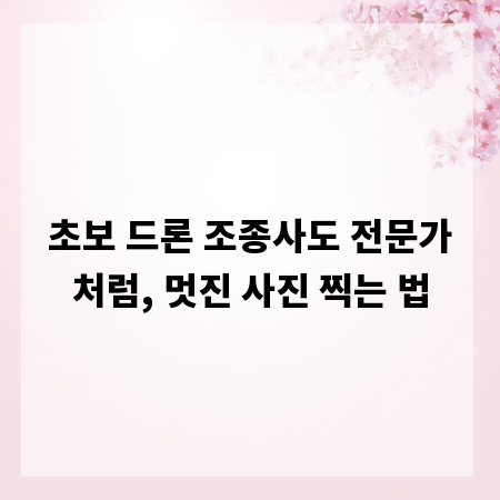 초보 드론 조종사도 전문가처럼, 멋진 사진 찍는 법
