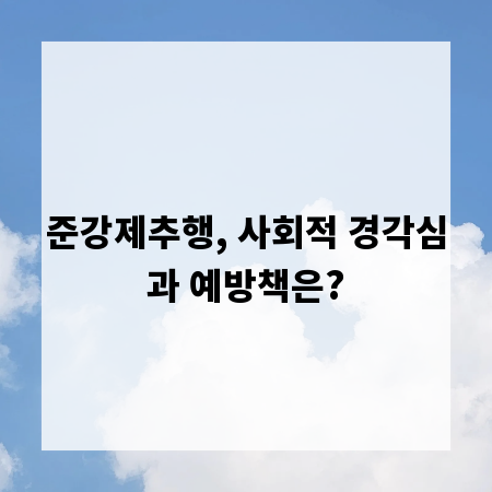 애니메이션 피규어, 수집가의 컬렉션 디스플레이 가이드