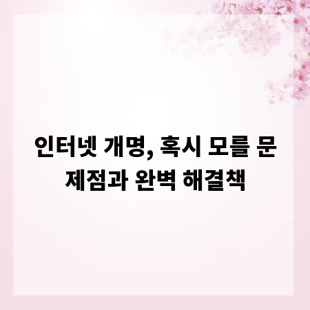인터넷 개명, 혹시 모를 문제점과 완벽 해결책