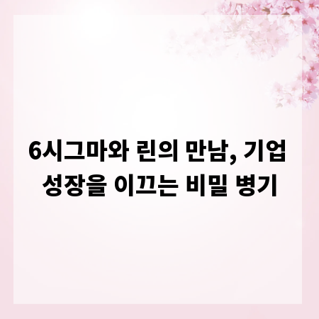 6시그마와 린의 만남, 기업 성장을 이끄는 비밀 병기