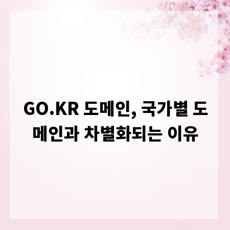 GO.KR 도메인, 국가별 도메인과 차별화되는 이유
