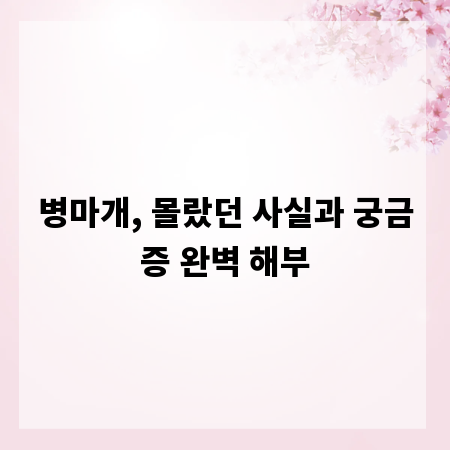 병마개, 몰랐던 사실과 궁금증 완벽 해부