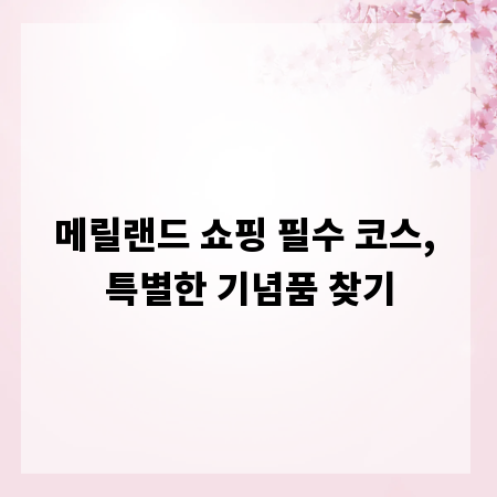 메릴랜드 쇼핑 필수 코스, 특별한 기념품 찾기
