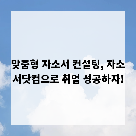 맞춤형 자소서 컨설팅, 자소서닷컴으로 취업 성공하자!