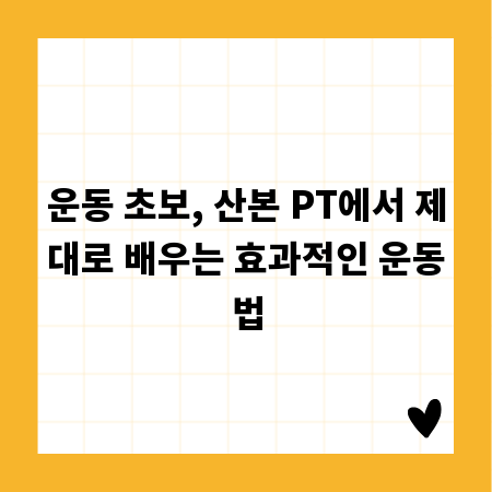 운동 초보, 산본 PT에서 제대로 배우는 효과적인 운동법