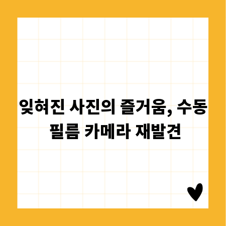잊혀진 사진의 즐거움, 수동 필름 카메라 재발견