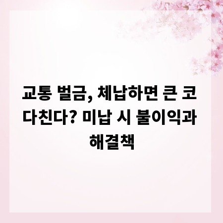 교통 벌금, 체납하면 큰 코 다친다? 미납 시 불이익과 해결책