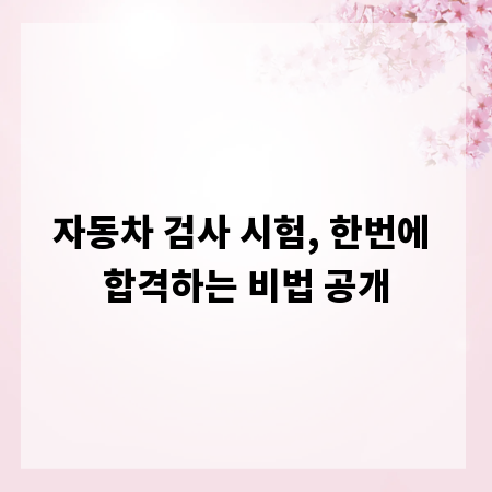 자동차 검사 시험, 한번에 합격하는 비법 공개