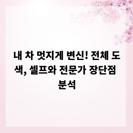 내 차 멋지게 변신! 전체 도색, 셀프와 전문가 장단점 분석