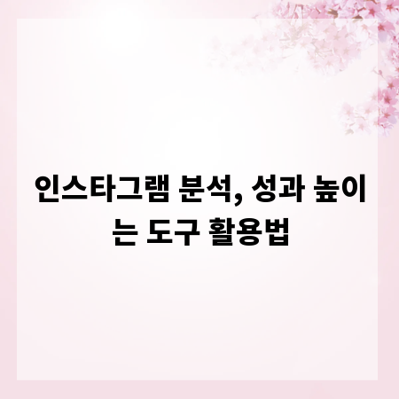 인스타그램 분석, 성과 높이는 도구 활용법