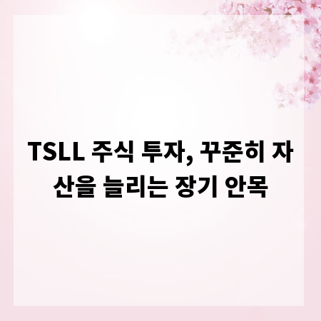 TSLL 주식 투자, 꾸준히 자산을 늘리는 장기 안목