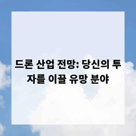 드론 산업 전망: 당신의 투자를 이끌 유망 분야