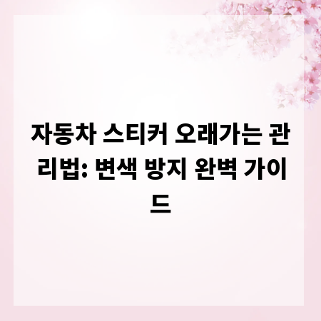 자동차 스티커 오래가는 관리법: 변색 방지 완벽 가이드