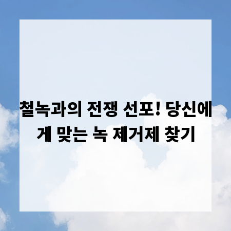 철녹과의 전쟁 선포! 당신에게 맞는 녹 제거제 찾기