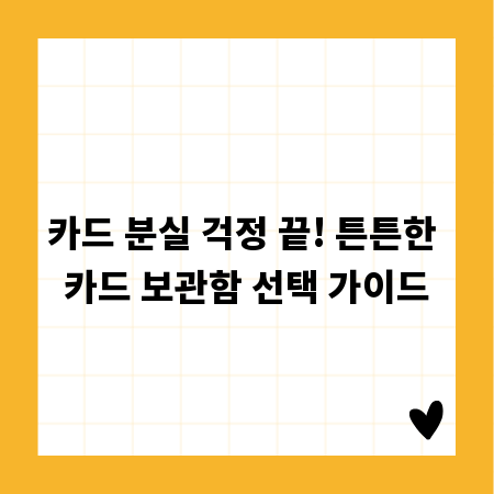 카드 분실 걱정 끝! 튼튼한 카드 보관함 선택 가이드