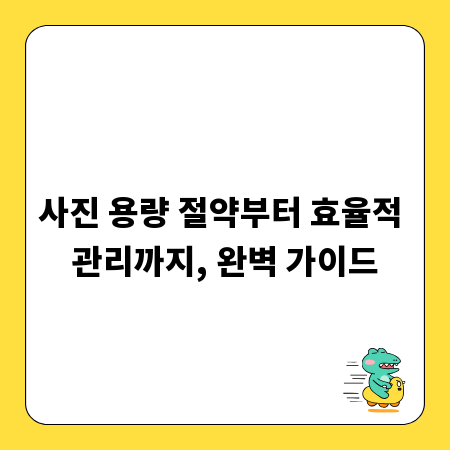 사진 용량 절약부터 효율적 관리까지, 완벽 가이드