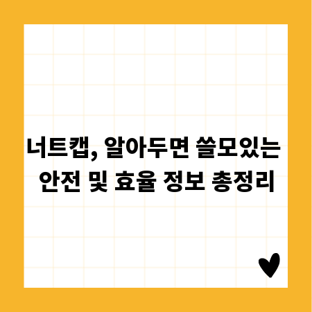 너트캡, 알아두면 쓸모있는 안전 및 효율 정보 총정리