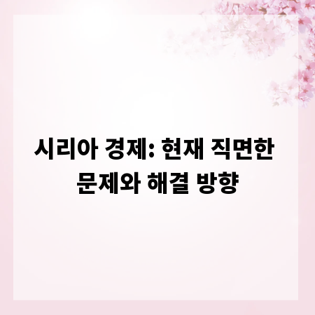 시리아 경제: 현재 직면한 문제와 해결 방향