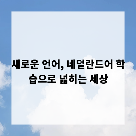새로운 언어, 네덜란드어 학습으로 넓히는 세상