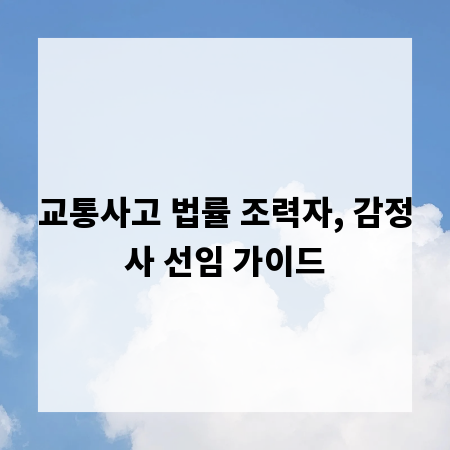 교통사고 법률 조력자, 감정사 선임 가이드