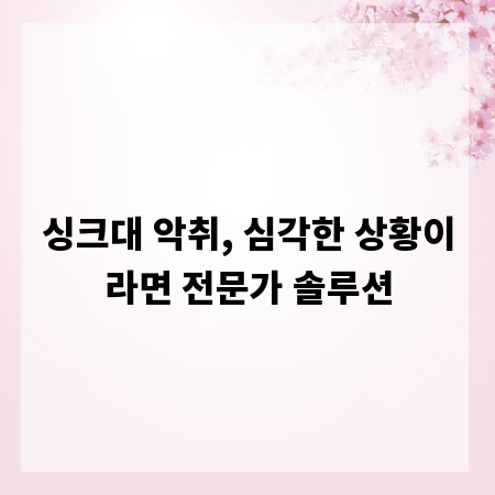 싱크대 악취, 심각한 상황이라면 전문가 솔루션