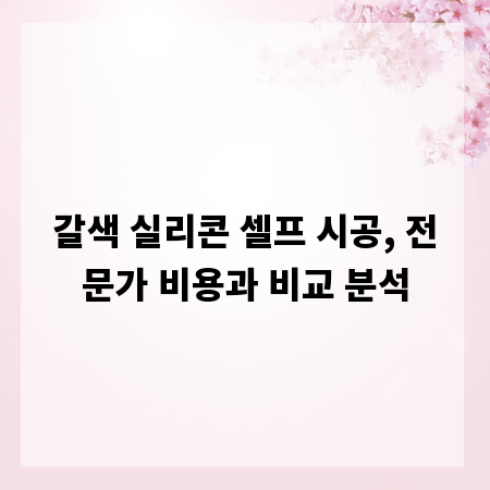갈색 실리콘 셀프 시공, 전문가 비용과 비교 분석