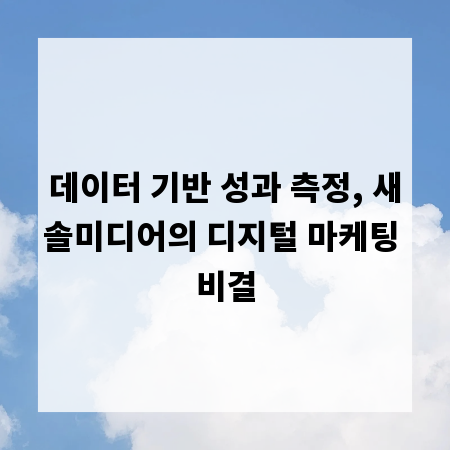 데이터 기반 성과 측정, 새솔미디어의 디지털 마케팅 비결