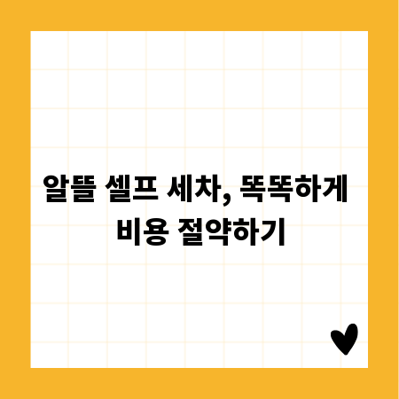 알뜰 셀프 세차, 똑똑하게 비용 절약하기