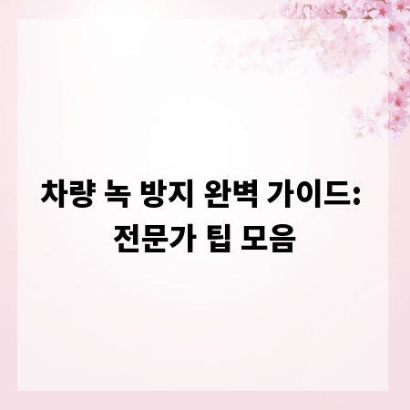 차량 녹 방지 완벽 가이드: 전문가 팁 모음