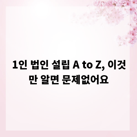 1인 법인 설립 A to Z, 이것만 알면 문제없어요