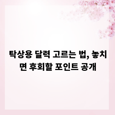 탁상용 달력 고르는 법, 놓치면 후회할 포인트 공개