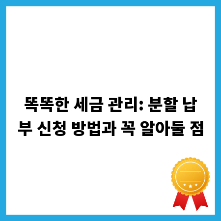 똑똑한 세금 관리: 분할 납부 신청 방법과 꼭 알아둘 점