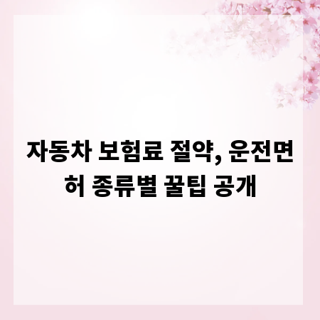 자동차 보험료 절약, 운전면허 종류별 꿀팁 공개