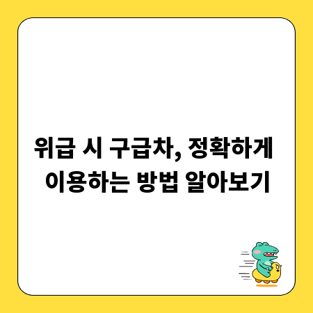위급 시 구급차, 정확하게 이용하는 방법 알아보기