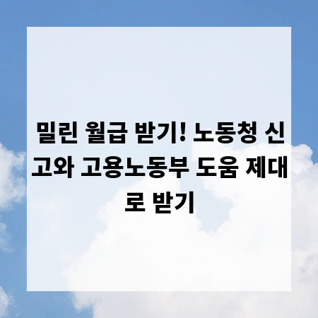 임금 체불 문제, 노동청 신고와 고용노동부 지원으로 해결하자