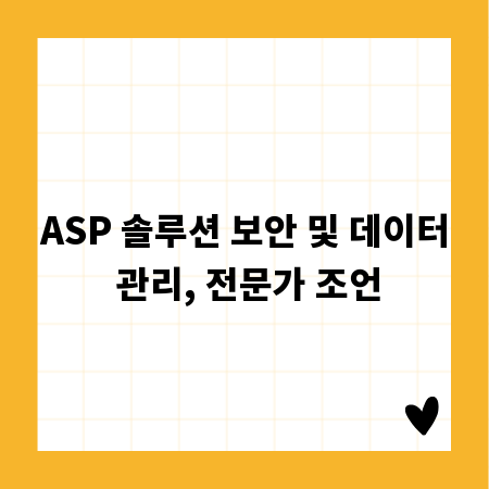 ASP 솔루션 보안 및 데이터 관리, 전문가 조언