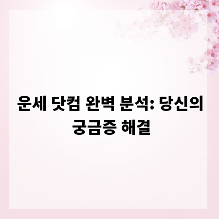 운세 닷컴, 당신에게 필요한 모든 정보 분석