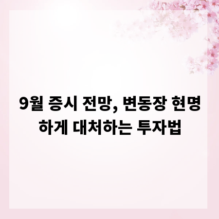 9월 증시 전망, 변동장 현명하게 대처하는 투자법